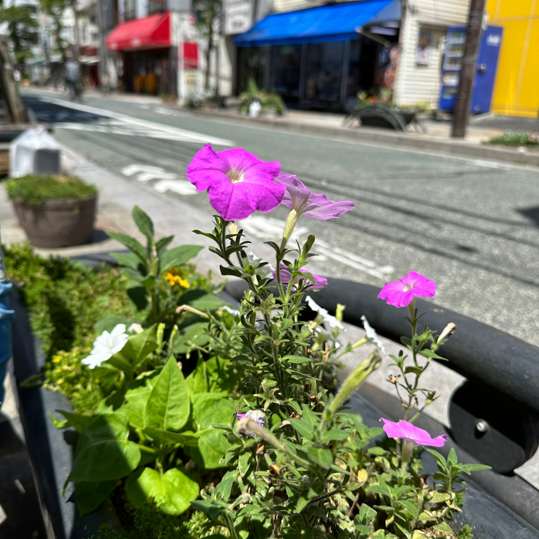 夏季休業のお知らせ