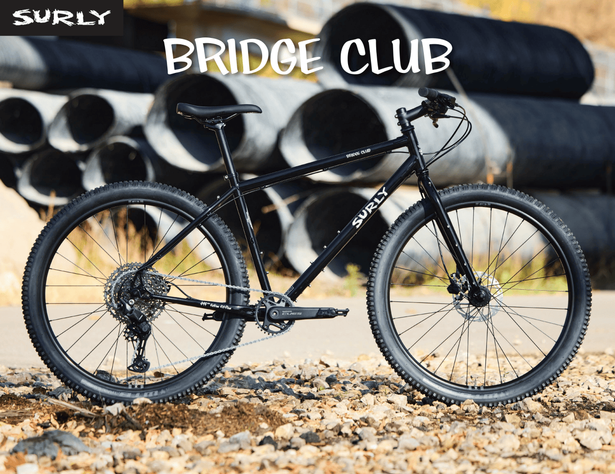 SURLY/ BRIDGE CLUB/ MEDIUM